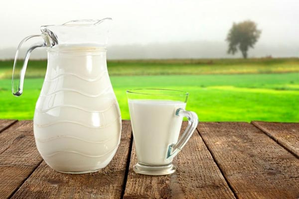 Porque o leite de baixo teor de gordura ajuda a perder peso