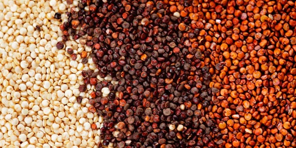 SEMENTES-DE-quinoa